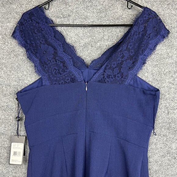 NEW ADRIANA PAPELL Lace Illusion Sleeveless Deep V Neck Dress SZ 10 - Picture 4 of 9